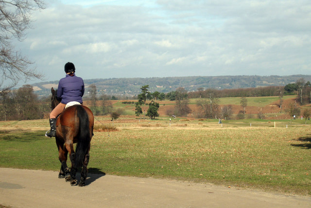 Horse_and_Rider_at_Knowle_Park_-_geograph.org.uk_-_1193192