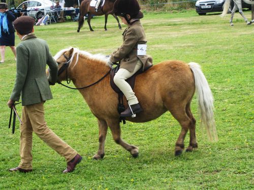 Child-on-shetland-pony