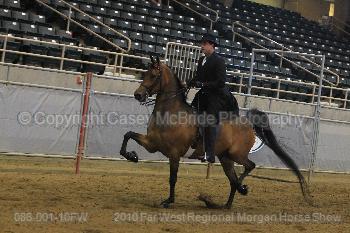 Razzo rides, too!  He is the biggest of Tess' babies.