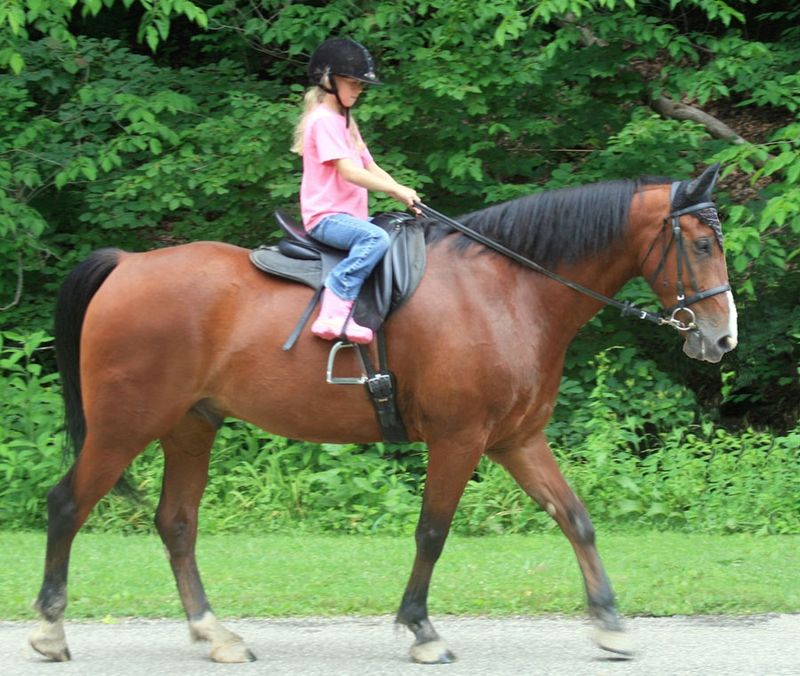 Gilly-with-child-rider