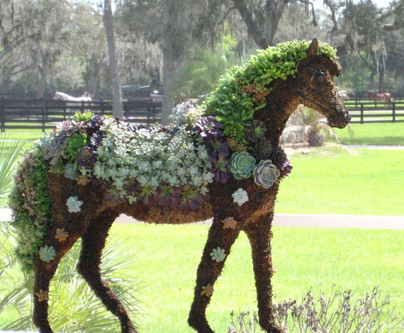 Succulent-horse-topiary