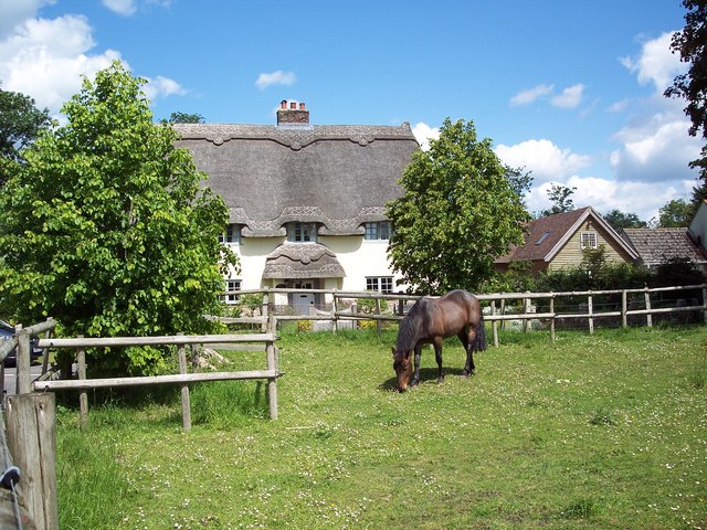 Pony-at-grass-grazing-paddock
