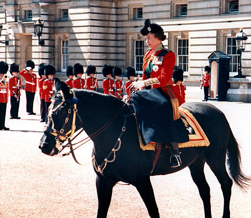 Burmese-the-queens-side-saddle-horse