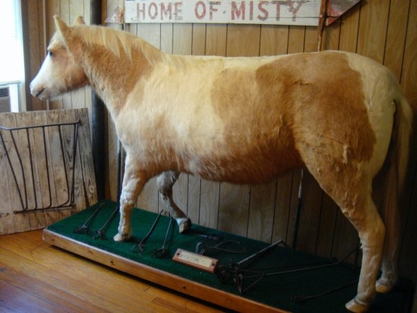 Misty-of-chincoteague-stuffed