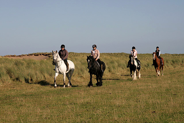 Horses-and-riders