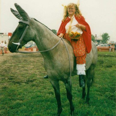 Horse fancy dress