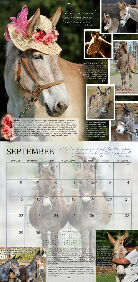 Rosebud-horses-and-hope-calendar