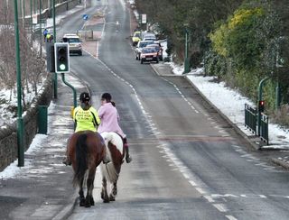 Horses-motram-road