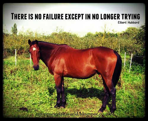 Horse-inspirational-quotes-elbert-hubbard