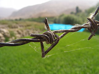 Barbed_Wire_1