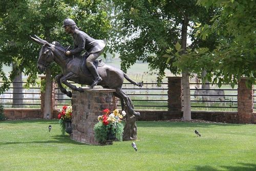 Show-jumping-donkry-statue