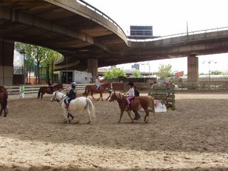 Riding-lesson