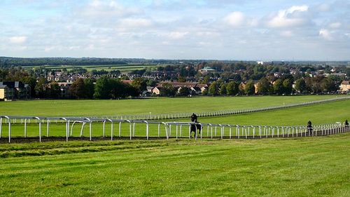 Horses_in_Newmarket