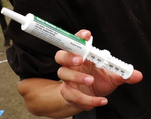 Horse-wormer-syringe