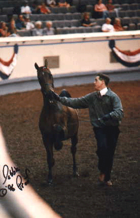 Tess showing in-hand at Nationals long ago... Her trainer was Forest Nealon from Illahee.  